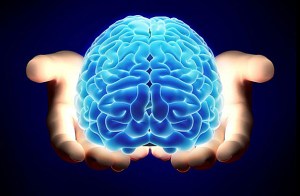 Crédito: creationsciencenews