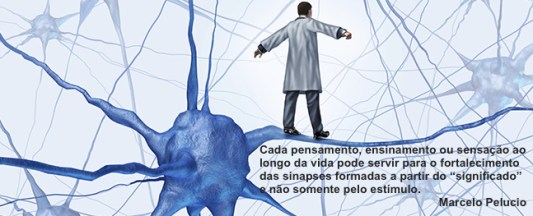 Brain Research Challenges