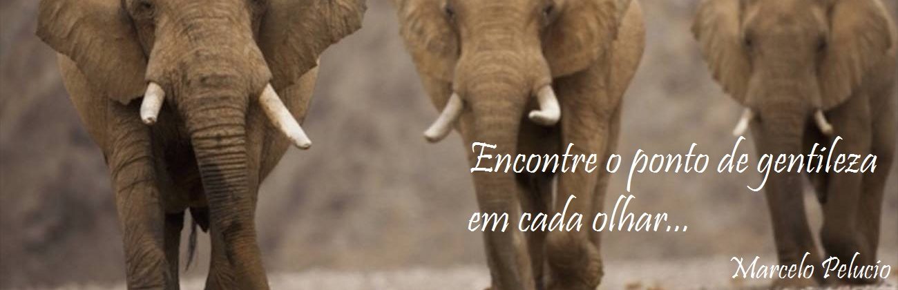 UM OLHAR PSICOLÓGICO E CRÍTICO